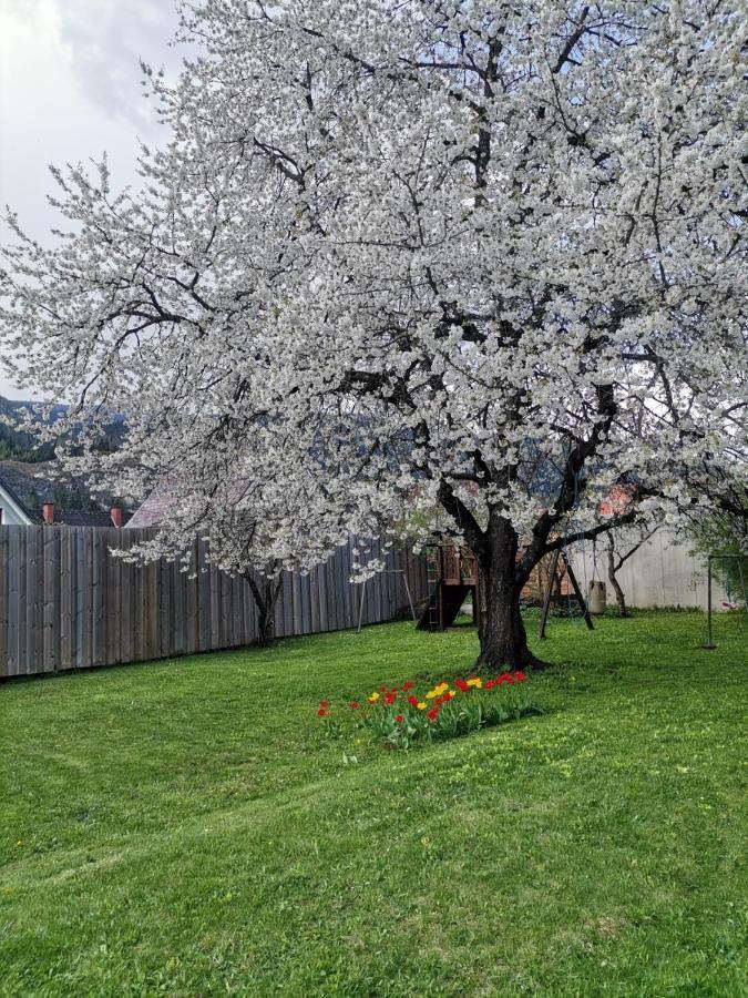 Apartment Kirschbaum Murau