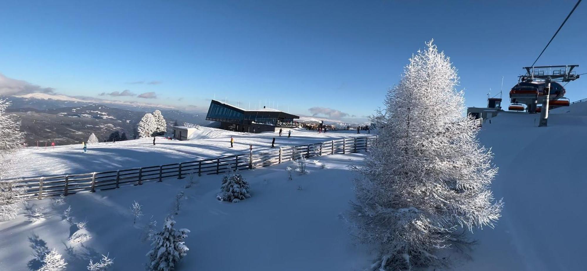 Kirschbaum * Murau